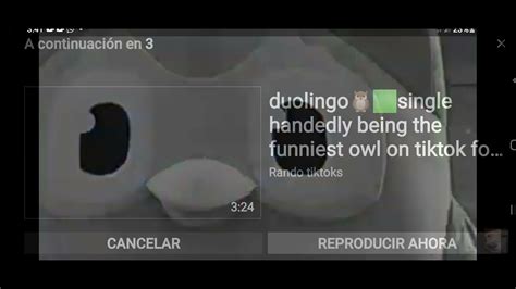 duolingo secuestrando gente|Iba pa.